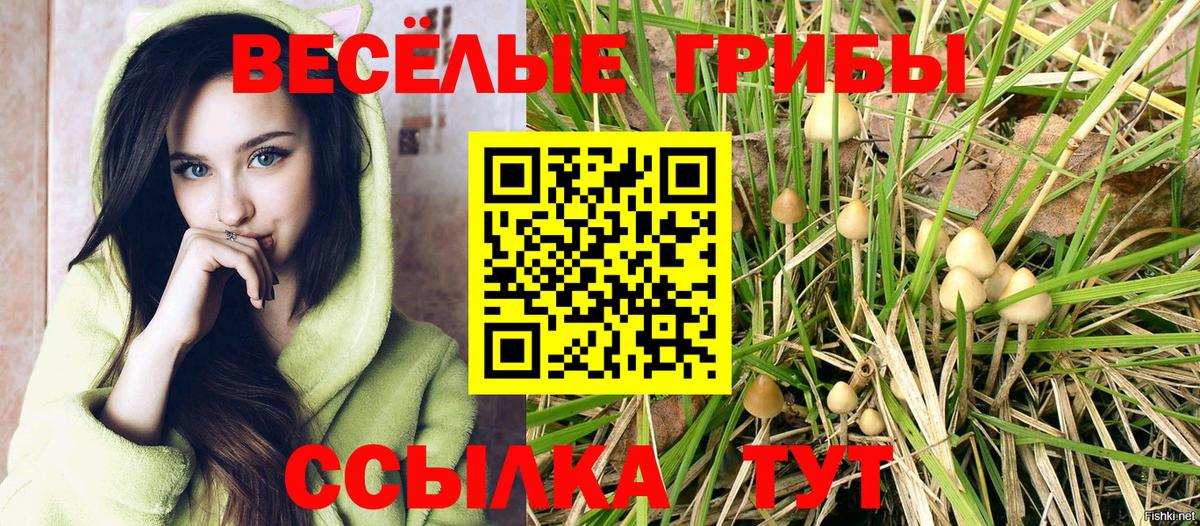 Галлюциногенные грибы ЛСД  Вход с VPN  Калининград 